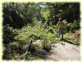 Storm Cleanup