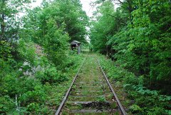 On the
                Wolfboro Line
